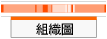 組織圖